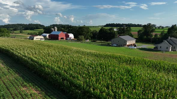 Family farm in rural USA. Farmland view on summer day. Aerial with red ...