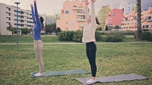 Two Women Practice Yoga on Mats in Park