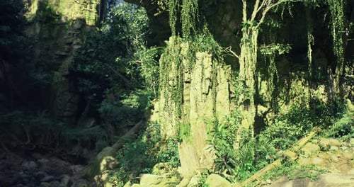 Lush Greenery and Rocky Landscape in an Untouched Natural Setting