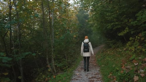 Beautiful Female Traveler Walks Through the Forest to the Mountains Incredibly Beautiful Views in