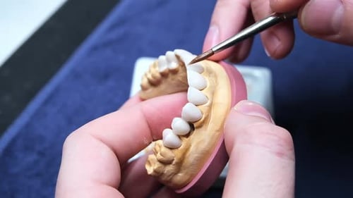 Dental Technician Applying Liquid to False Teeth with Brush
