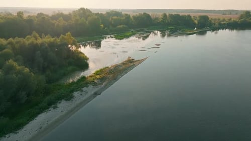 River Forest Sunset Dawn Sun Jungle Nature Lake Water Tree