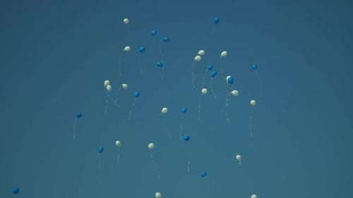 Balloons Floating Skyward Celebrating Party Event