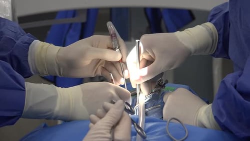 Spine Surgery Explained: Common Procedures, Recovery Expectations, Risks, and Advances in Minimally