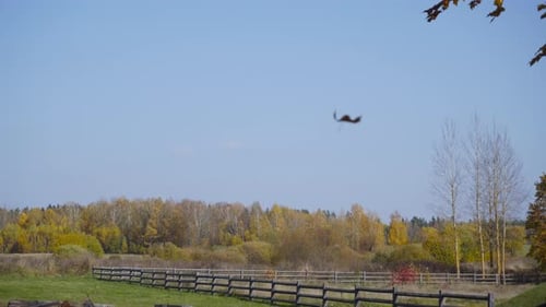 Wooden Fence Line in a Sunny Rural Landscape
