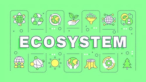Ecosystem word cloud animation
