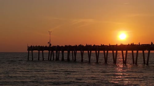 Venice Florida Fishermen Enjoying Vacation Time on Fishing Pier Seaside Summer Activities