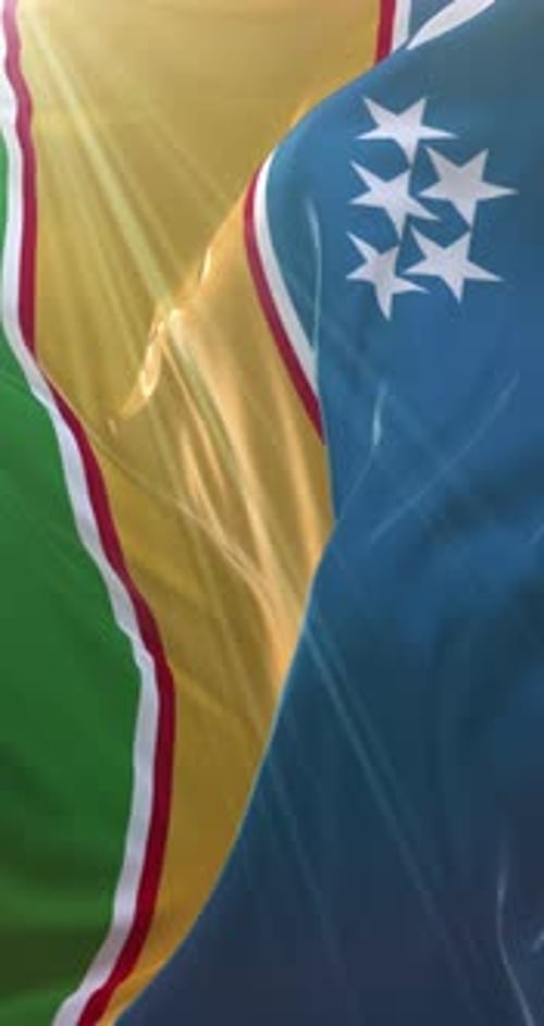 Realistic Waving National Flags Vertical Loop