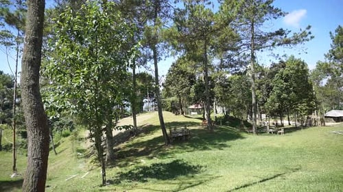 beautiful natural landscape mountains hilly nature panorama, with forest of tall green trees