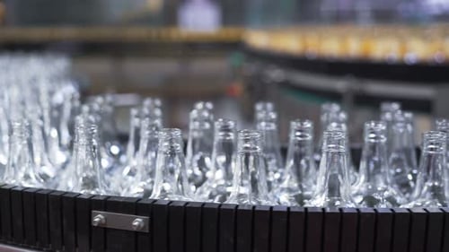 Automated Bottle Conveyor Belt Industry