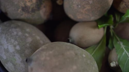Bunch of Fresh Picked Kiwi Fruit in Bowl, Close Up Depth of Focus Shot