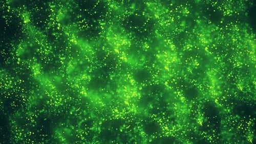 Christmas Magic Green Background