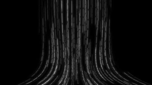 Abstract White Flowing Lines of Light Against a Dark Background Loop