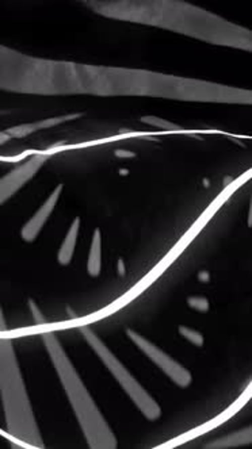 Monochrome Abstract Background with Light and Shadow Patterns