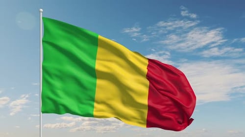 Mali National Flag Waving in Realistic Loop