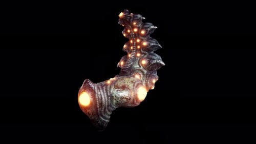 Biomechanical Chair VJ Loop