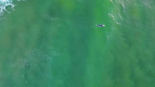 Lonely surfer swimming on surfboard waiting for perfect ocean wave in tropical paradise
