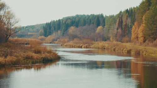 Autumn River Landscape with Yellow Trees and Dry Meadows