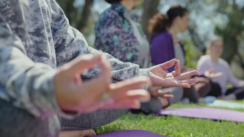 Adults Practicing Yoga Outdoors in Sunny Park