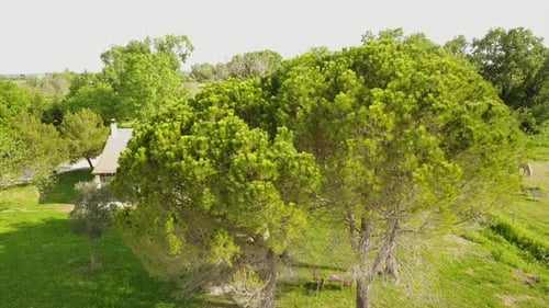 unveiling of a house in the countryside, Camargue