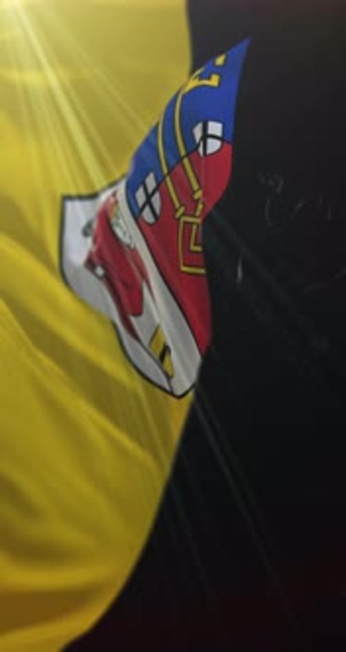 Vertical Waving Flag with Coat of Arms Animated Background