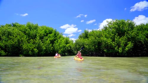 Couple kayaking turquoise ocean waters off bahamas tropical island paradise