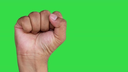 Hand of an Asian man forms Fist isolated on a green screen background.