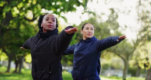 Women Exercising in a Park on a Sunny Day