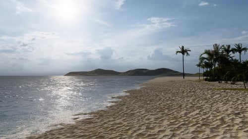 Sunny Tropical Beach with Ocean Waves and Palm Trees