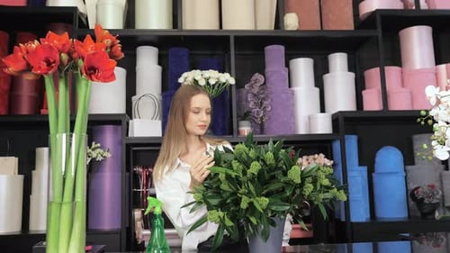 Young Woman Arranging Plants in a Flower Shop