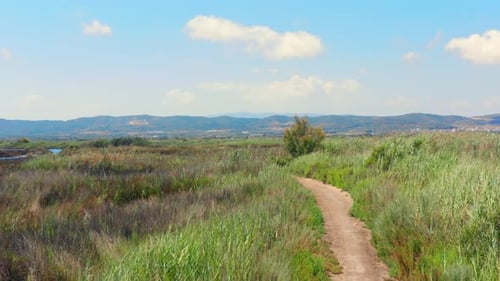 POV gimbal shot of beautiful hike path in the nature with grass fields and mountains on sunny summer