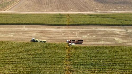 Tractors and agricultural harvesting corn in the summer, a breathtaking aerial view.