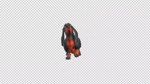 3D Animated Dachshund Dog Character Looking Around