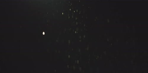 Shimmering Particles Bokeh Effect in Dark Backdrop