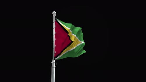 Realistic Guyana Flag Waving Seamless Loop Animation