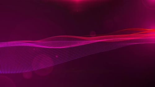 Pink Color Digital Grid Particle Line Wave Background Animation