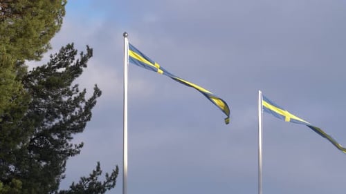 Swedish Flags Waving in the Wind