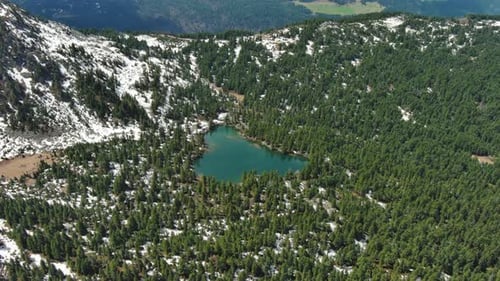 Mountain Lake with Snow Mountains and Green Forest