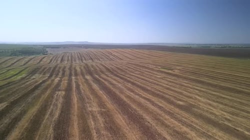 Tractor working on the field doing tillage with cultivator