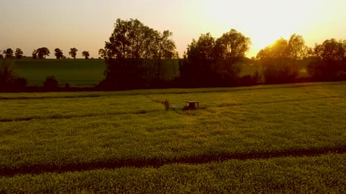 Crop Tractor Sprayer Spraying Pesticide on Yellow Blooming Canola Rape Field at Sunset