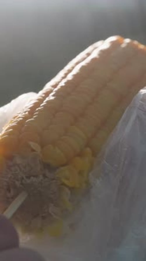 Close Up of Rotating Eaten Corn with Steam Rising and Bokeh Light Background