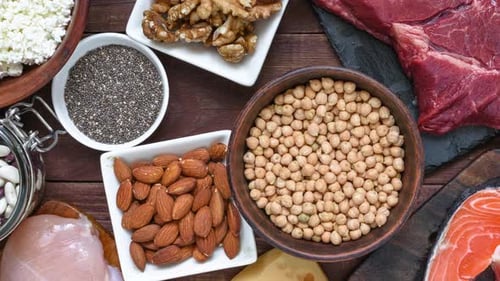 High Protein Food Fish Meat Poultry Nuts Eggs Seeds and Dairy Products Healthy Eating and Balanced