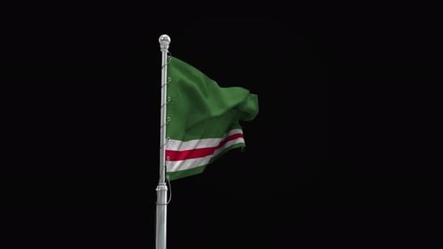 Realistic 3D Waving Flag on Pole Seamless Loop