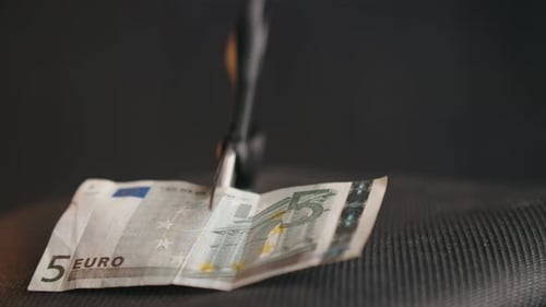 Cutting Five Euro Note with Scissors, Close-Up
