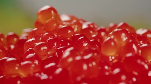 Putting Red Caviar in Glass Bowl Closeup Salmon Salted Orange Roe on Black Background Raw Seafood