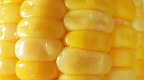 Close Up of Yellow Corn on the Cob