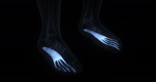 3D Glowing Human Feet Bones X-Ray Scan Animation