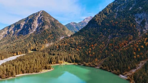Amazing turquoise lake in the Alps covered with pine tree forests. Relaxing view of Lake Plansee