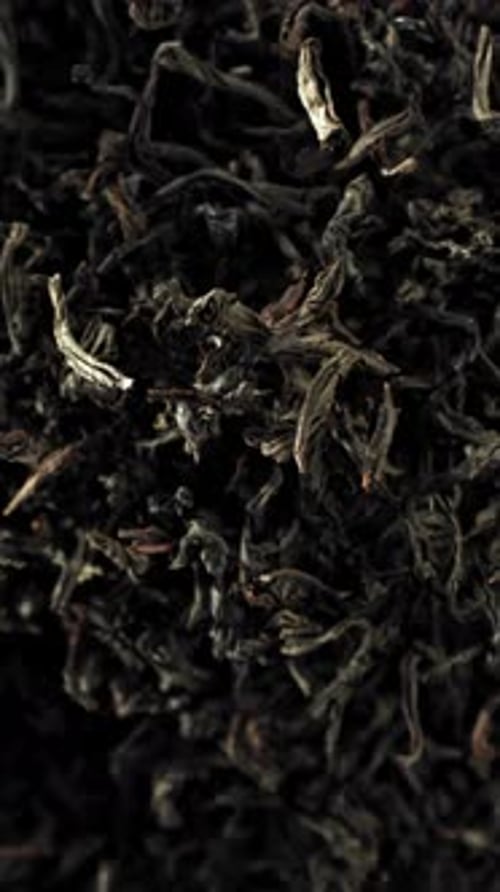 Dry Tea Flies Up and Down Filmed on a Highspeed Camera at 1000 Fps