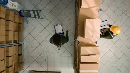 Warehouse Coworkers Examine Parcels